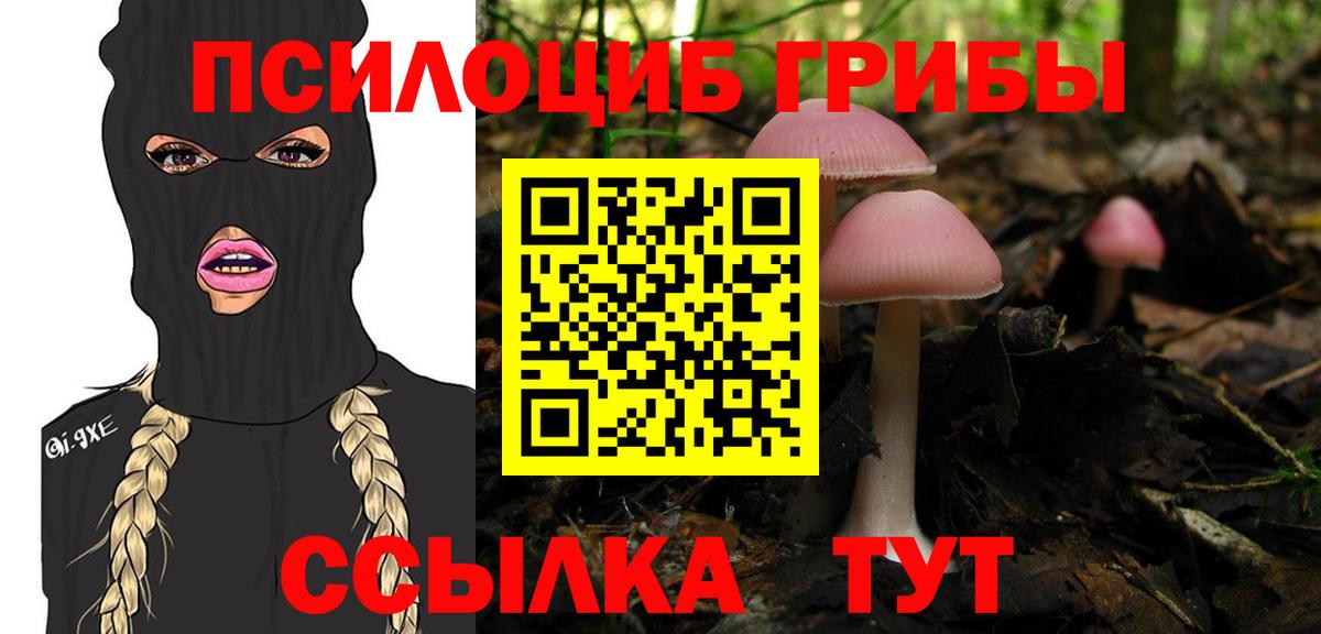 продажа наркотиков  Галлюциногенные грибы мухоморы  Вход с VPN  Ставрополь  Псилоцибиновые грибы Magic Shrooms 