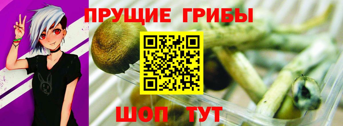 Галлюциногенные грибы MAGIC MUSHROOMS Ставрополь